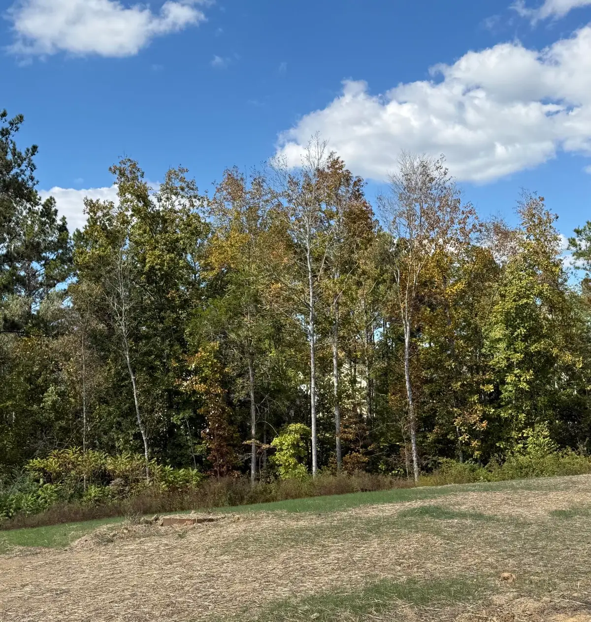 3 Creekwood, Cleveland, TN 37312 - #1
