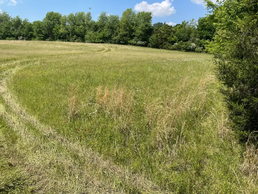 0 Maynard Lane, Columbia, TN 38401 - #3