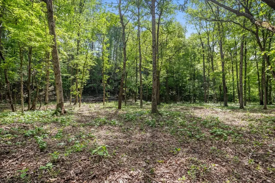 0 Rustling Oaks Dr, Waverly, TN 37185 - #2