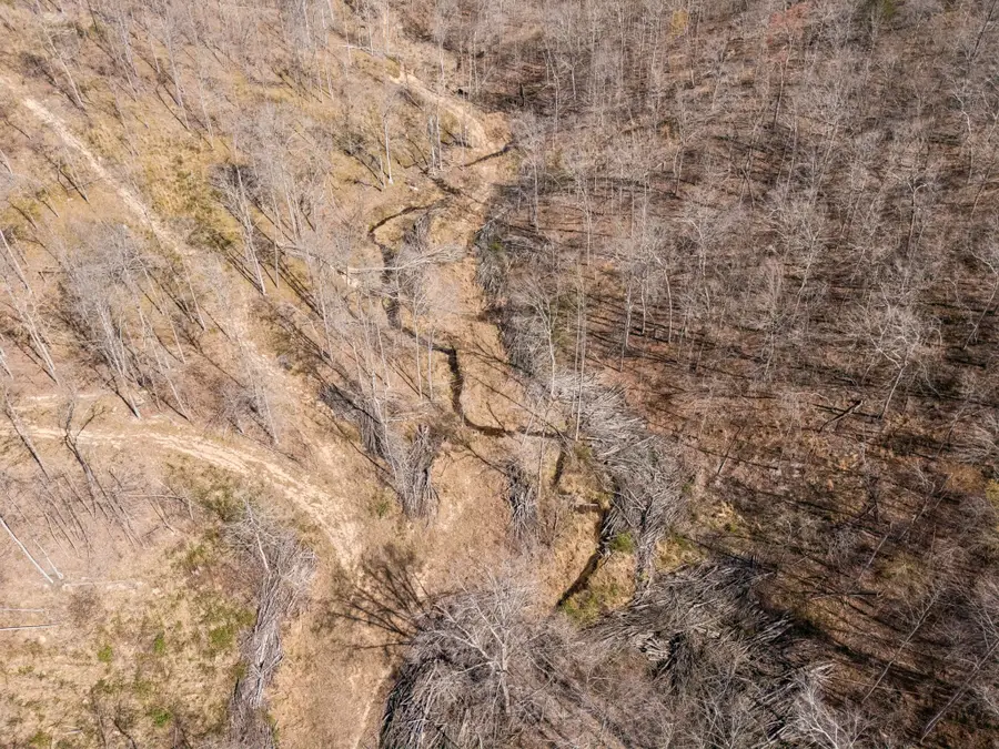 635 Cane Creek Rd, Hohenwald, TN 38462 - #2