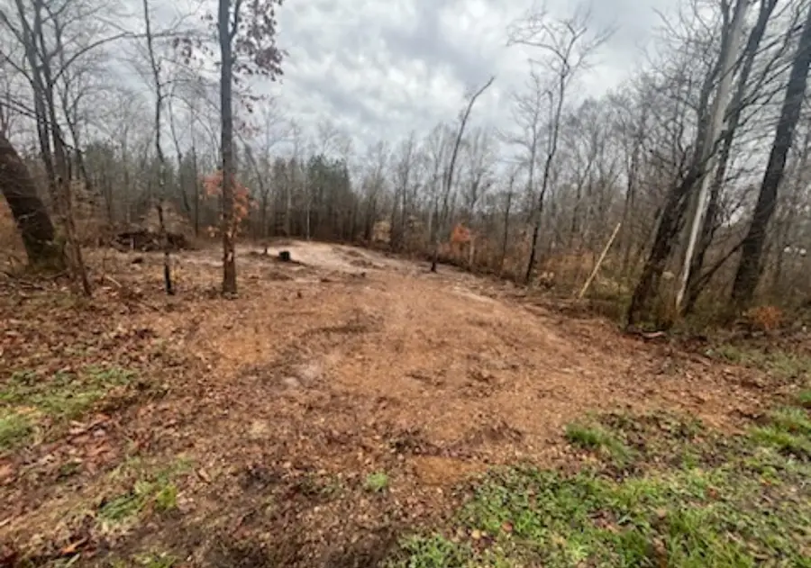 1 Forest Trl, Bumpus Mills, TN 37028 - #2