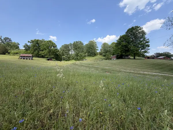 5170 Steam Mill Hollow Road Tract 2, Williamsport, TN 38487