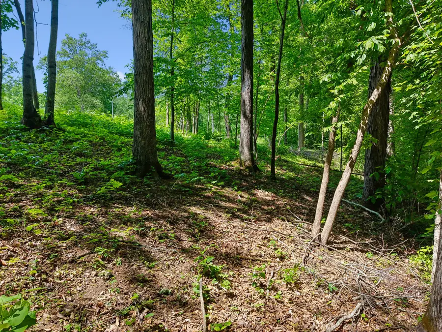 0 Casparis Road, Franklin, TN 37064 - #3