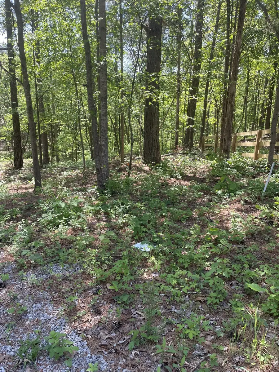 0 Prospect Lane, Bon Aqua, TN 37025 - #3