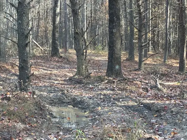 0 Bootleg Bend, Guild, TN 37340