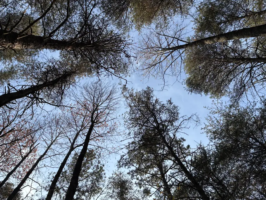 0 Bootleg Bend, Guild, TN 37340 - #2