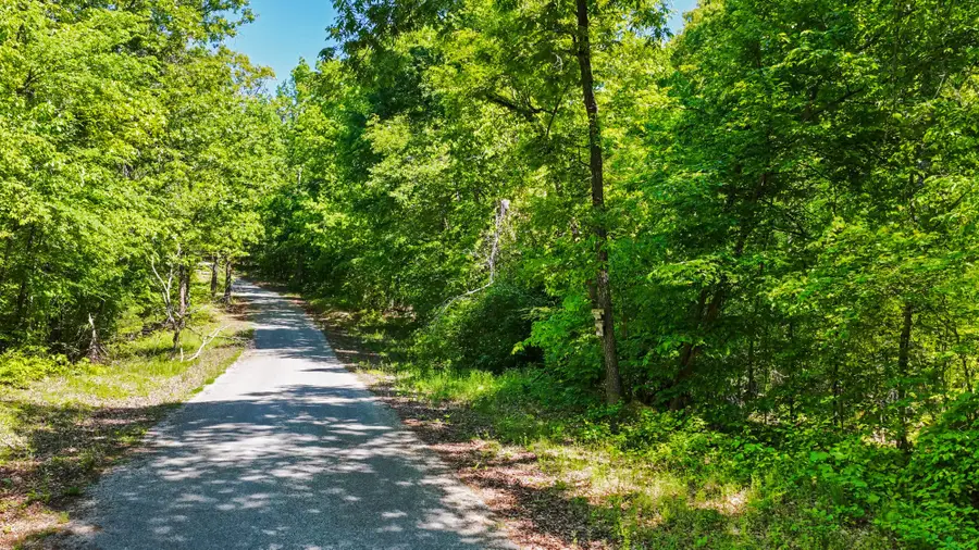 108 Fisher Cv, Decaturville, TN 38329 - #3