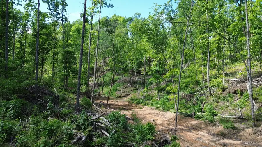 535 Highwater Rd, Waverly, TN 37185 - #3