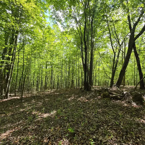 15 Cluck Cove Road, South Pittsburg, TN 37380