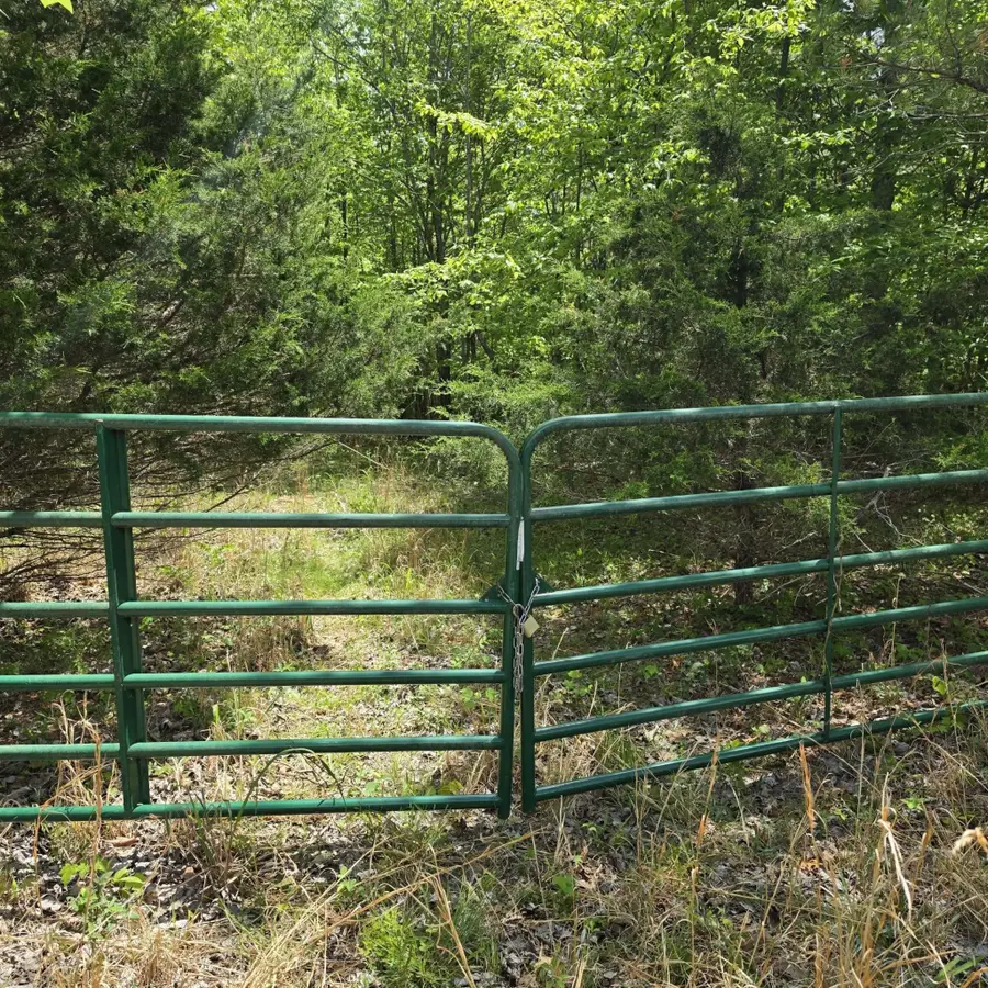 15 Cluck Cove Road, South Pittsburg, TN 37380 - #3