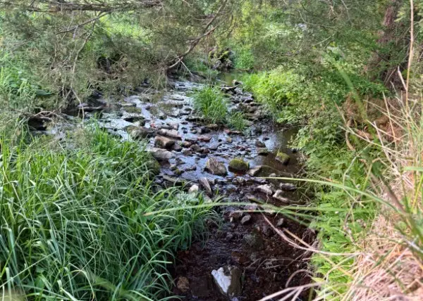 7480 Beech Hill Rd, Pulaski, TN 38478 - #3