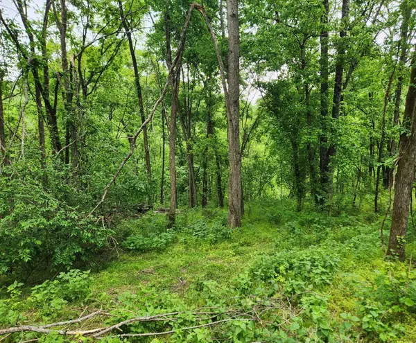 0 Thompson Hill Road, Bethpage, TN 37022