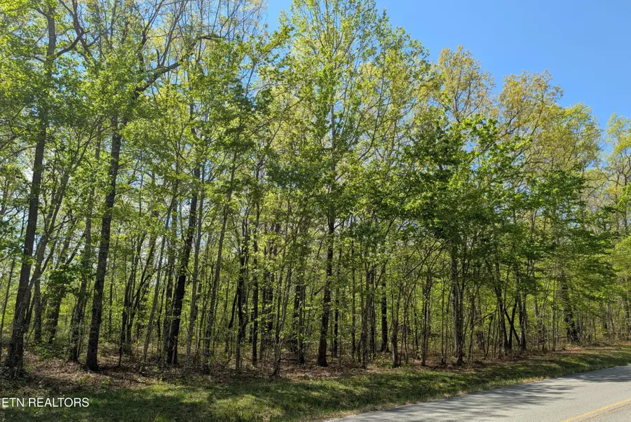 0 Cumberland Lakes Drive, Monterey, TN 38574 - #2