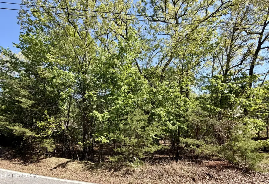 142 Mariners Drive, Crossville, TN 38558 - #3