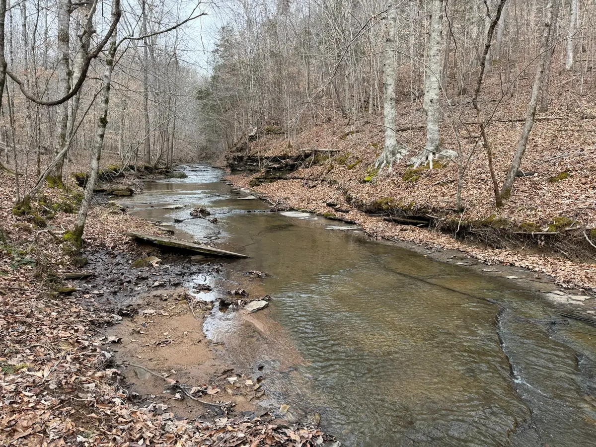 0 Collier Bend Road, Charlotte, TN 37036 - #1
