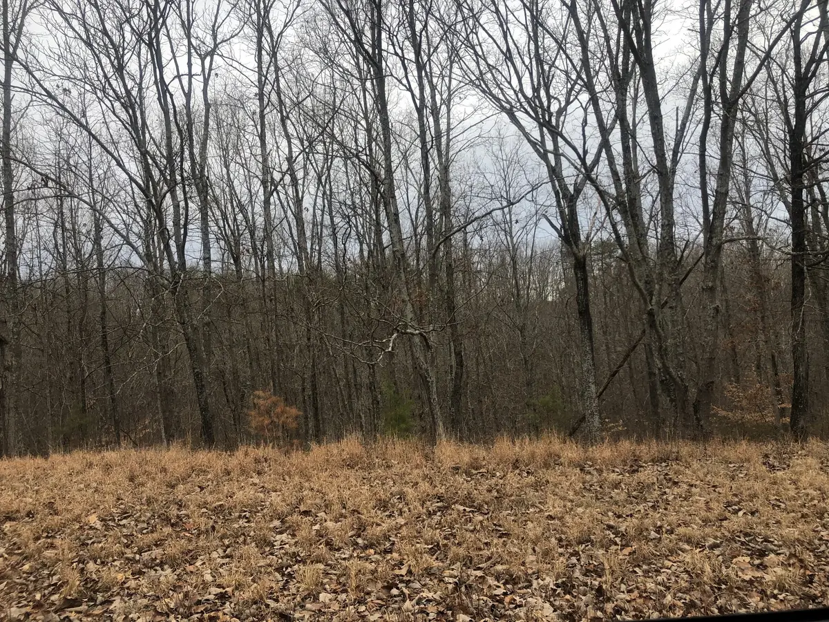 99 Deepwood Dr, Waverly, TN 37185 - #1