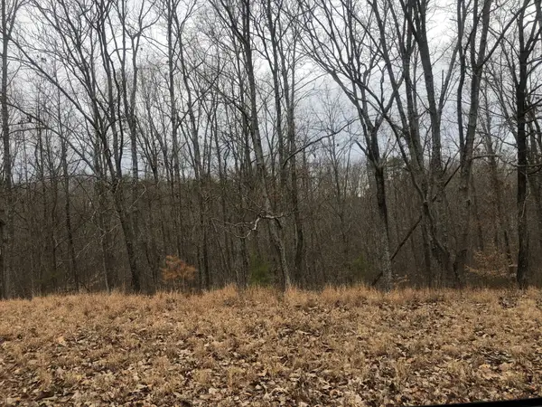 99 Deepwood Dr, Waverly, TN 37185