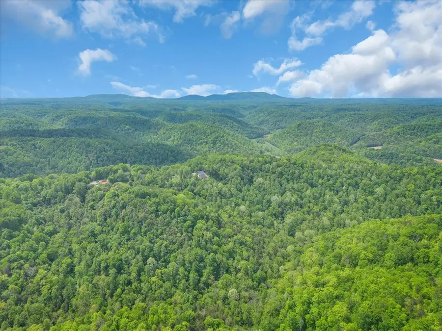 8350 Old Mill Hill Rd, Dowelltown, TN 37059 - #3