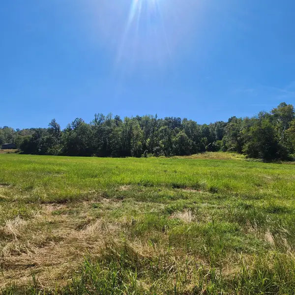 229 Bob Walker Rd, Bumpus Mills, TN 37028