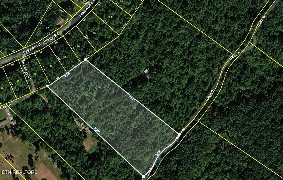 665 Lakewood Village Rd, Spring City, TN 37381 - #3