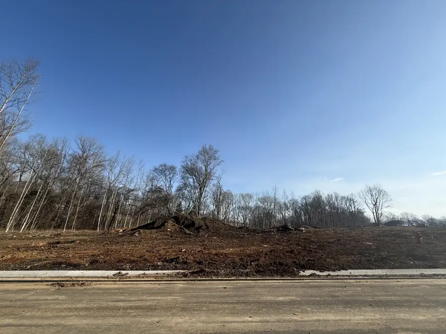 530 Divine Ct, Arrington, TN 37014 - #2