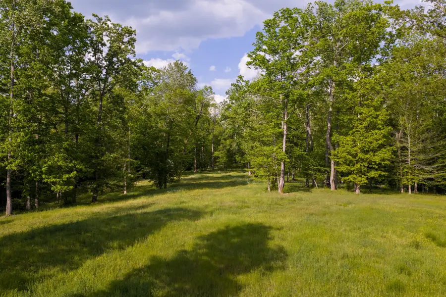 6415 Pinewood Rd, Nunnelly, TN 37137 - #3