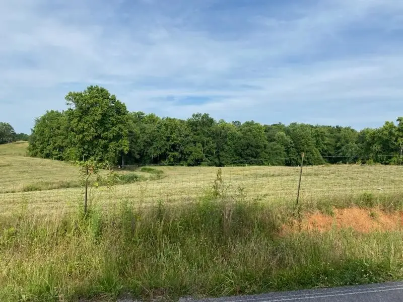 0 Banks Pisgah Rd, Smithville, TN 37166 - #1