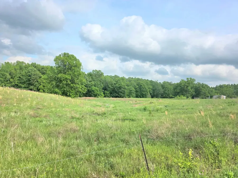 0 Banks Pisgah Rd, Smithville, TN 37166 - #2