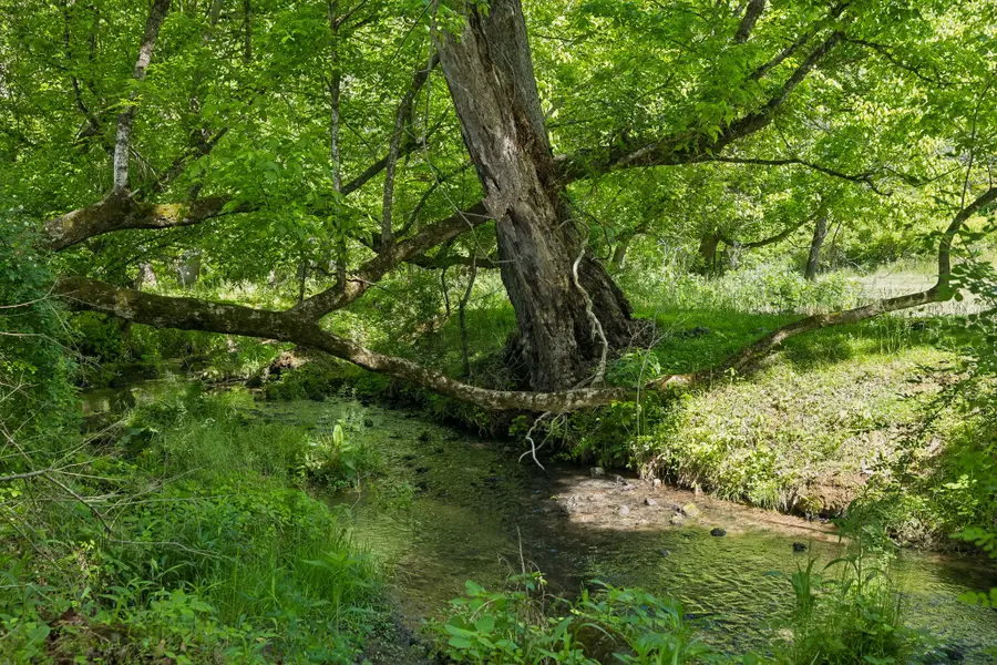 0 Glendale Road, Jonesborough, TN 37659 - #2