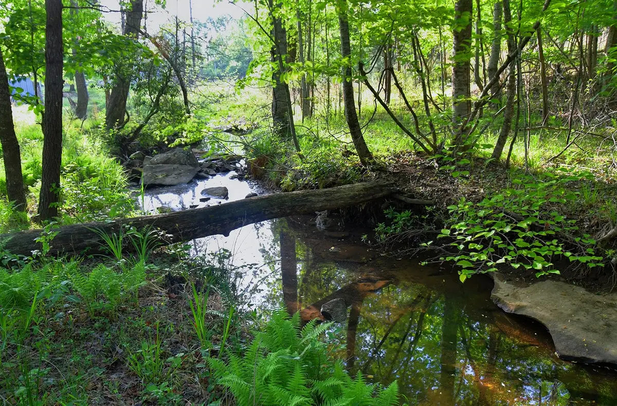 607 Monteagle Falls Rd, Monteagle, TN 37356 - #1