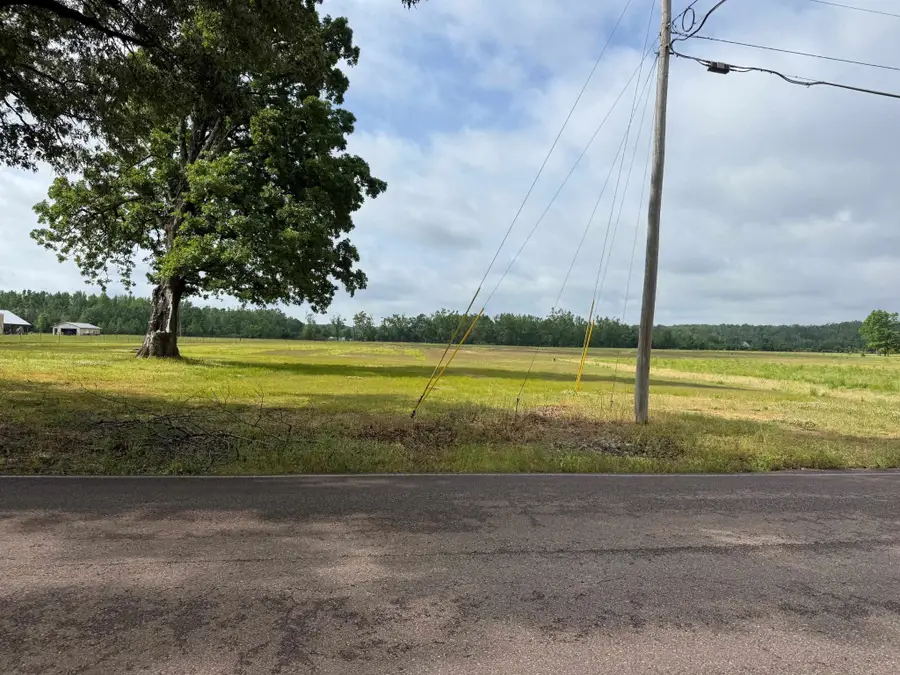 0 1 Stop Dr, Savannah, TN 38372 - #2