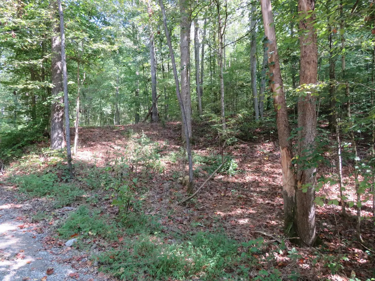 0 Bugg Hollow Rd, Gallatin, TN 37066 - #1