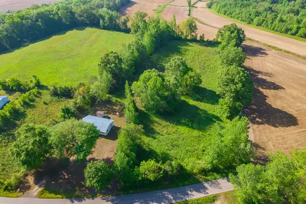1355 Mcbride Cemetery Rd, Sardis, TN 38371