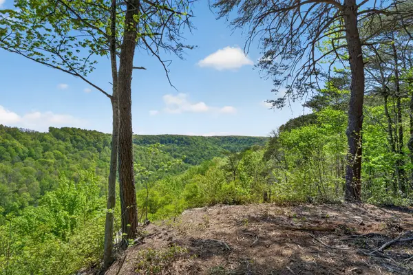 2076 Timberwood Trace Lots 317&318, Monteagle, TN 37356
