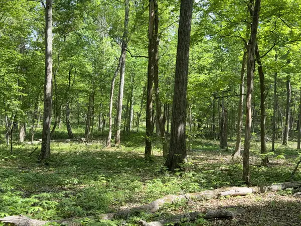 0 Millersburg Road, Christiana, TN 37037