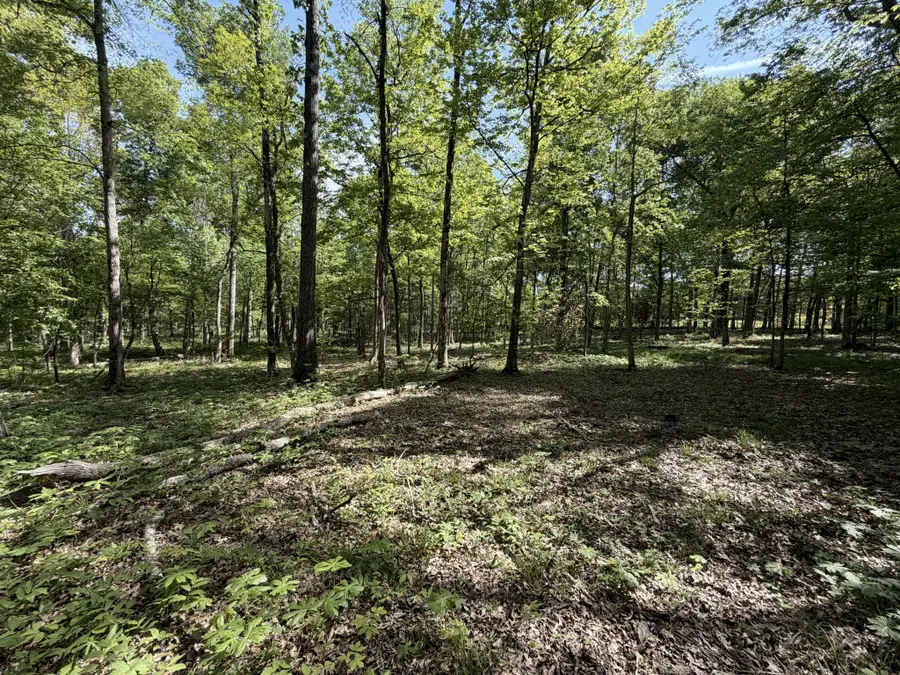 0 Millersburg Road, Christiana, TN 37037 - #2