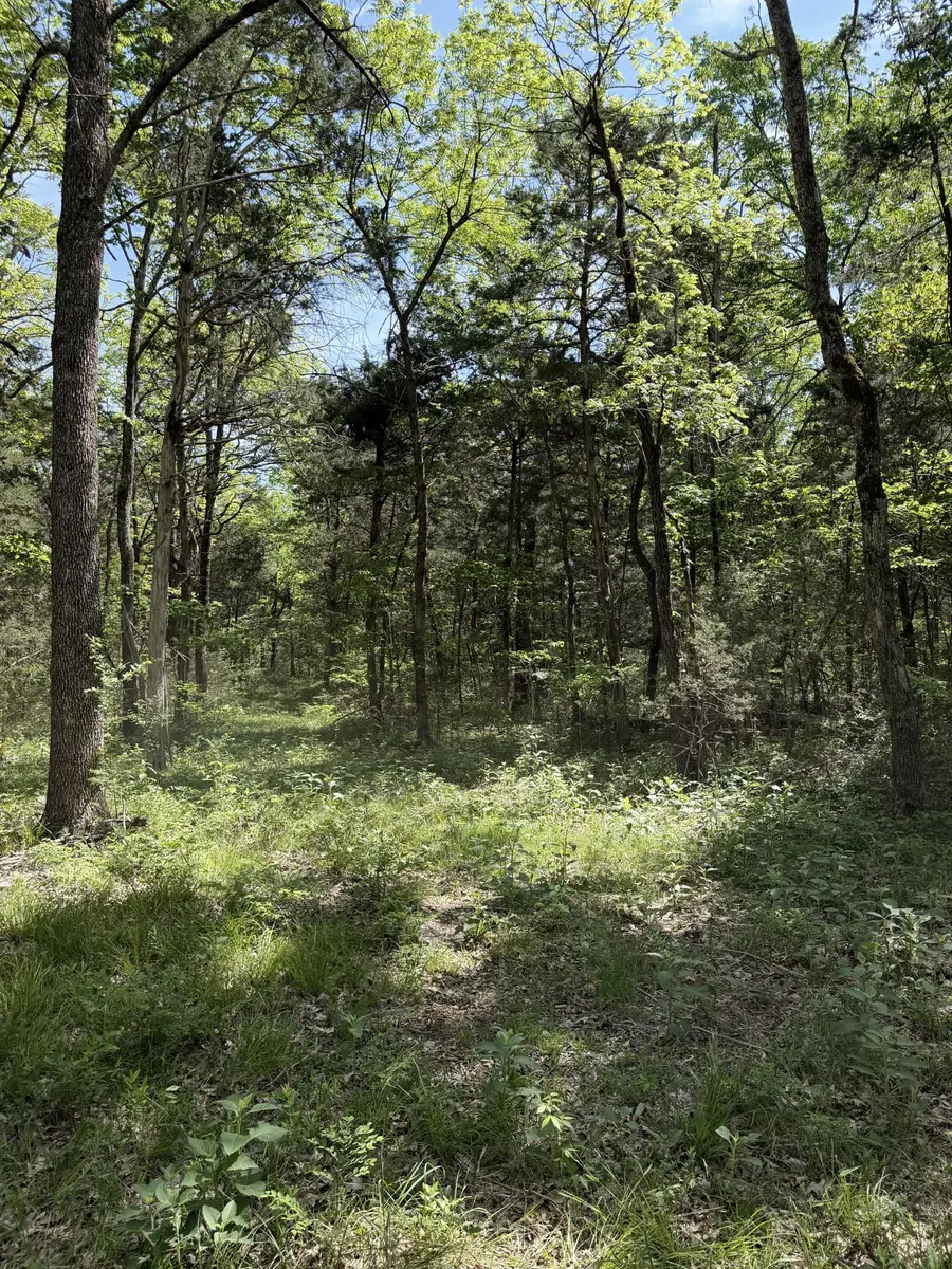 0 Millersburg Road, Christiana, TN 37037 - #3