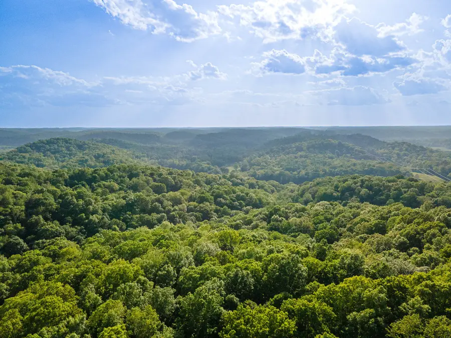 1070 Leatherwood Rd, White Bluff, TN 37187 - #2