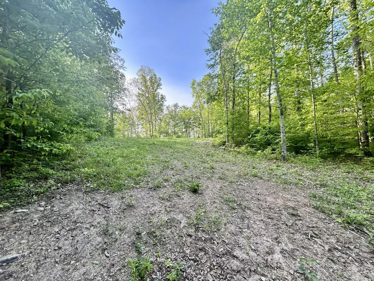 0 Chappell Cemetery Rd, Bon Aqua, TN 37025 - #1