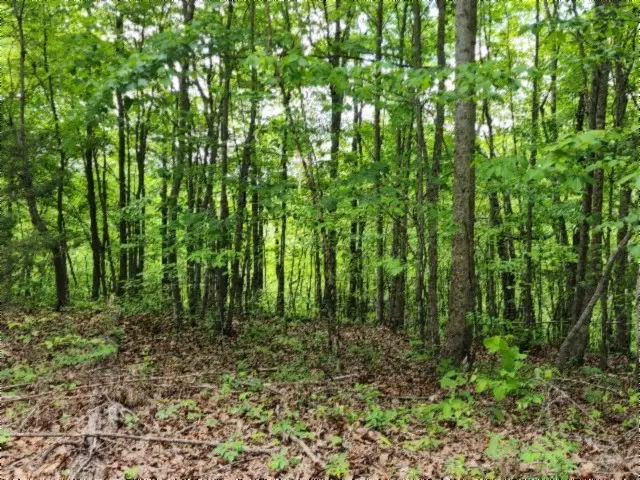 0 Froest Trails, Celina, TN 38551 - #2