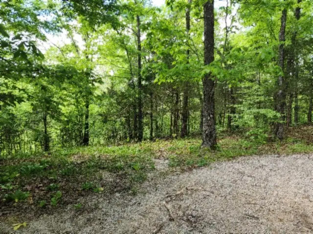 0 Froest Trails, Celina, TN 38551 - #3