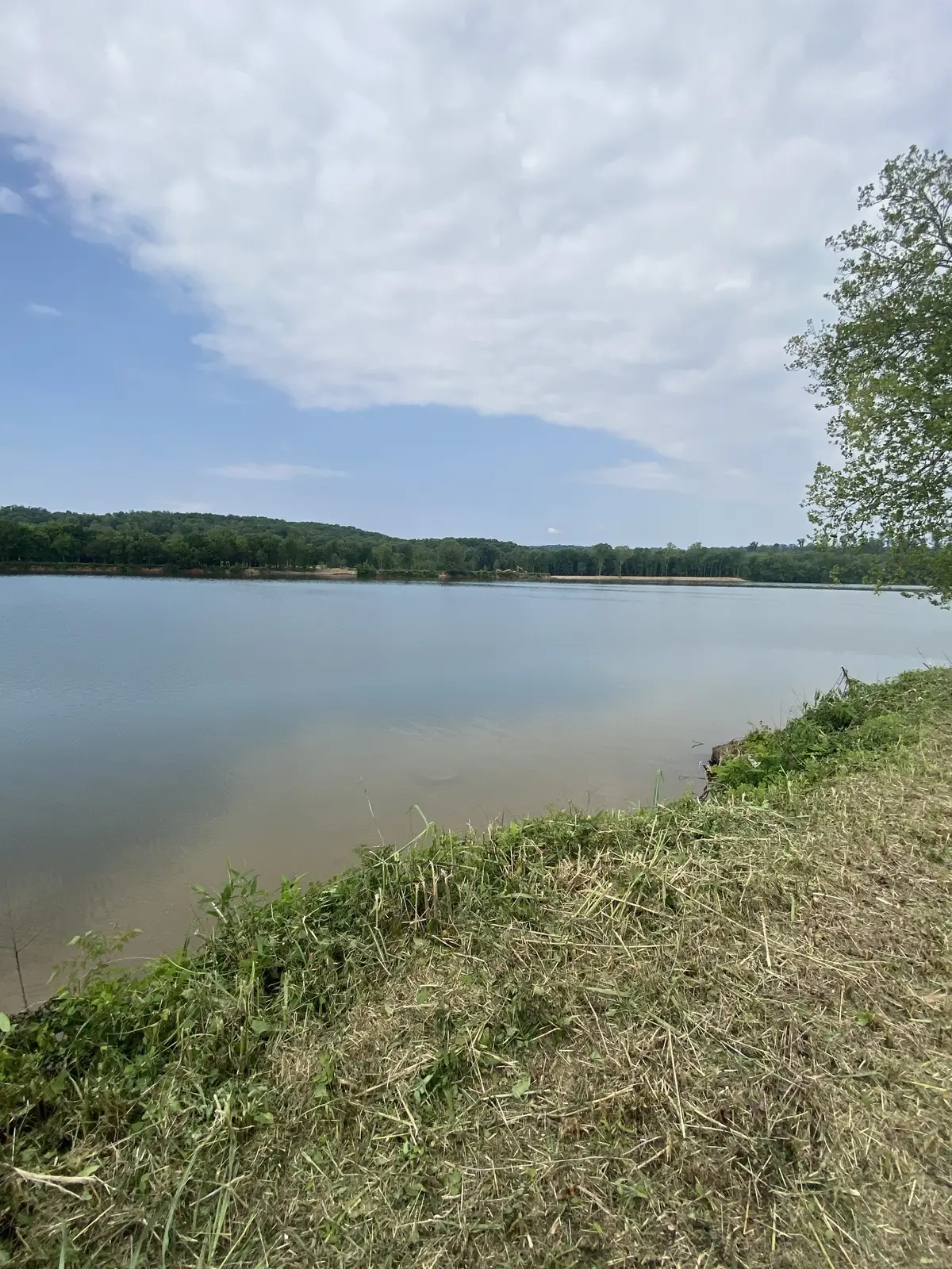 269 Hardin Bottom River Road, Clifton, TN 38425 - #1