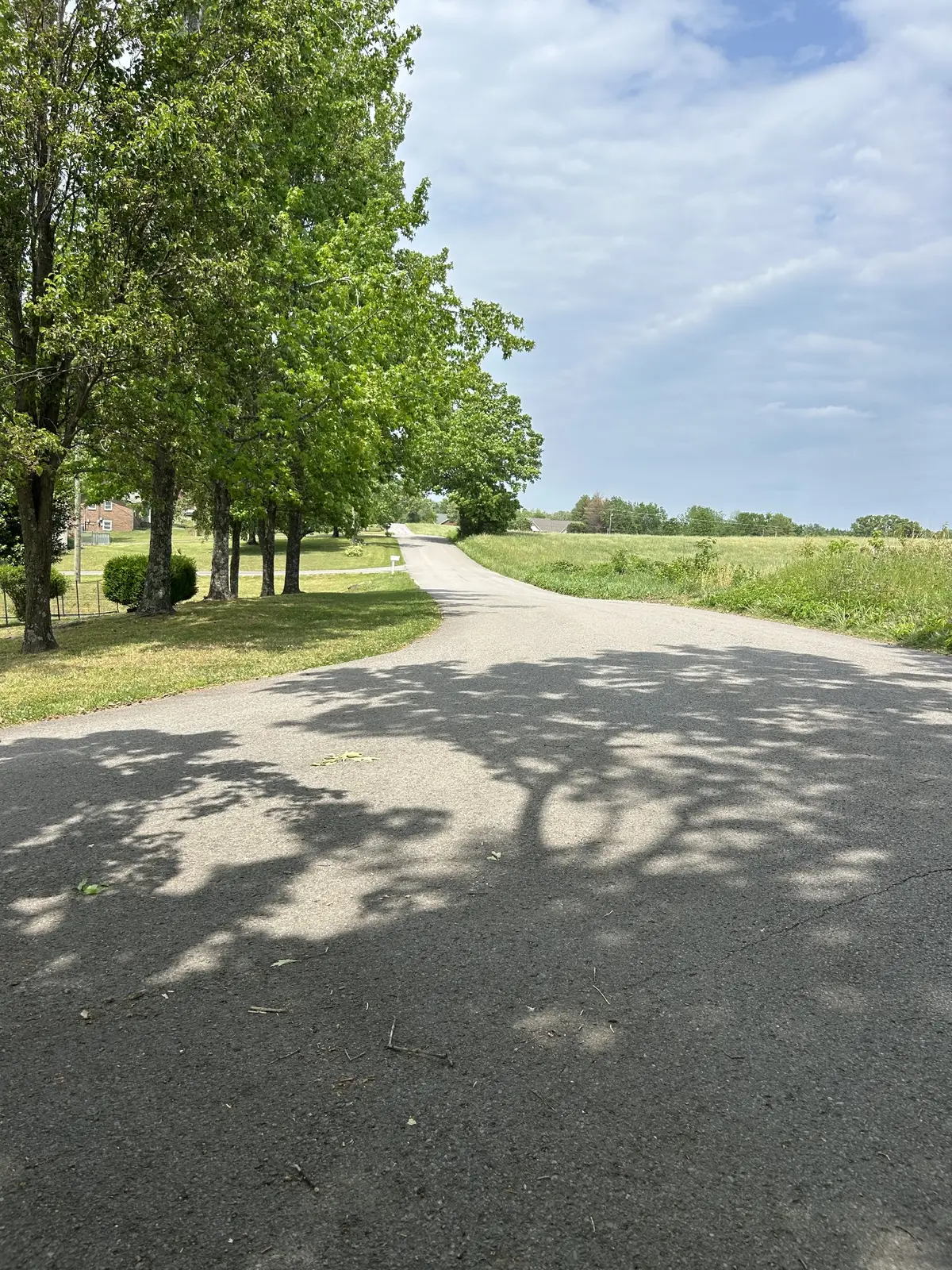 7310 Fernvale Rd, Fairview, TN 37062 - #1