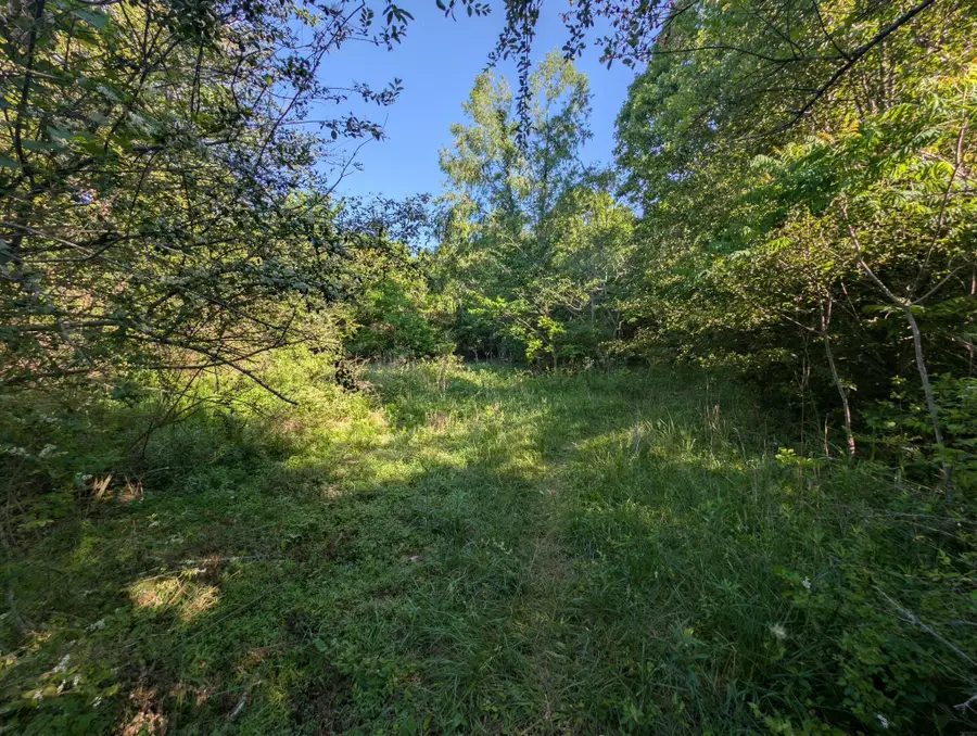 1023 Abiff Rd, Bon Aqua, TN 37025 - #2