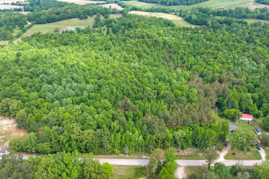 0 Highway 200, Lexington, TN 38351 - #3