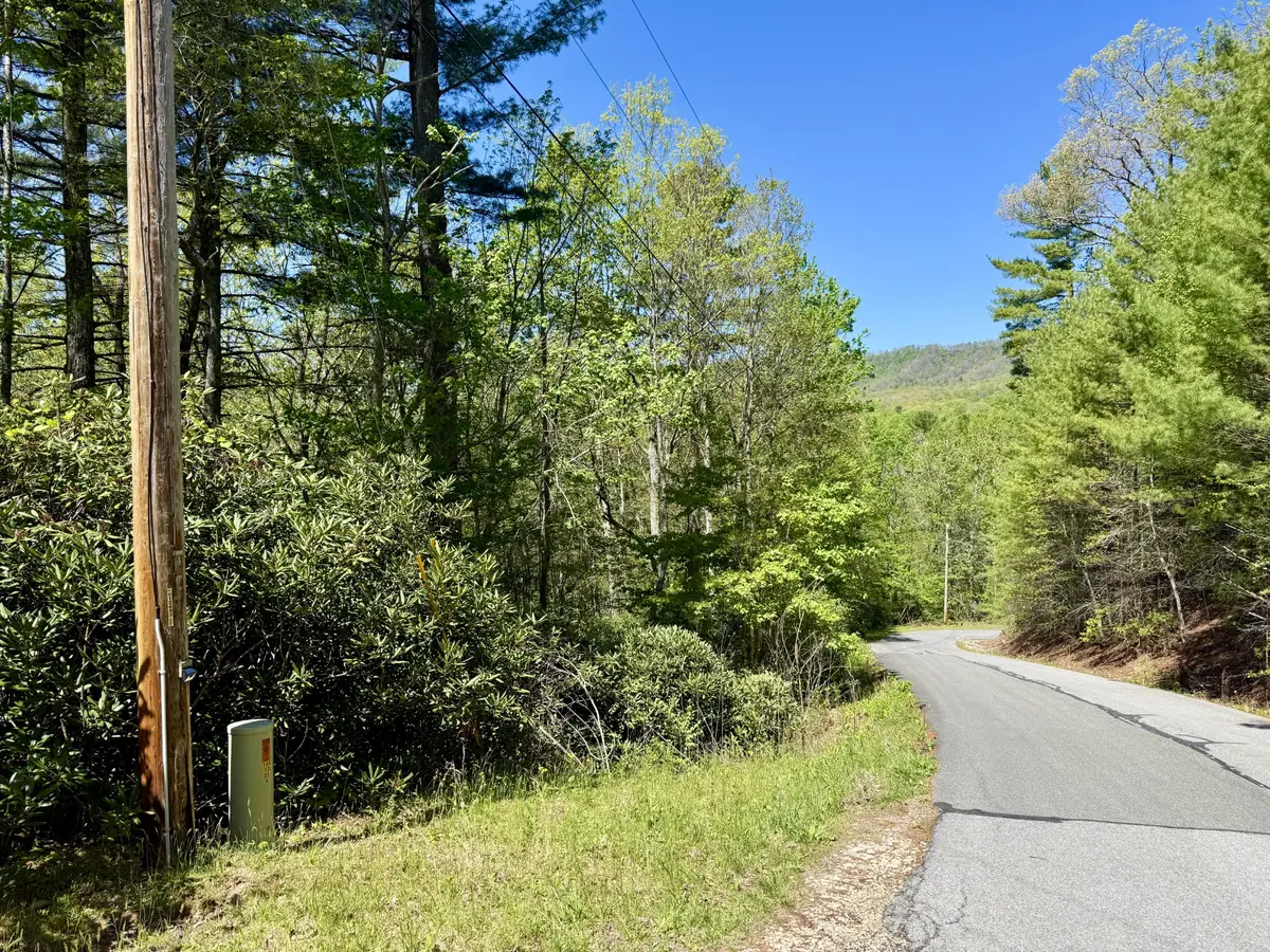 1 Sprucy Ridge Rd, Mountain City, TN 37683 - #1