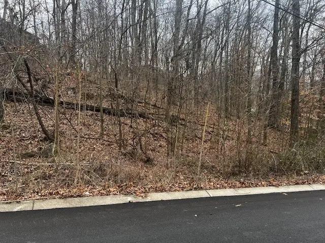 106 High Ridge Trl, Goodlettsville, TN 37072 - #3