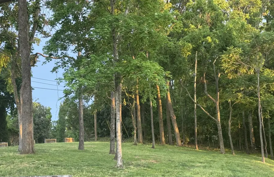 1121 Harpeth Ridge Rd, Franklin, TN 37069 - #2