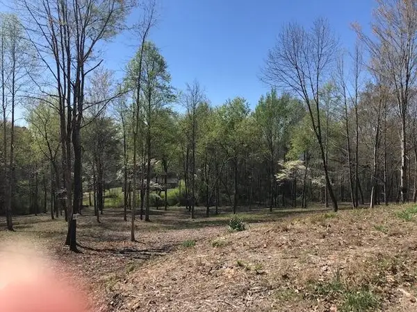 18 Piney View, Spring City, TN 37381