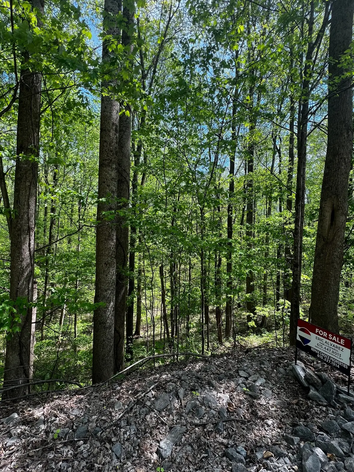 0 Lola Dr, Smithville, TN 37166 - #1